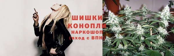 индика Армянск