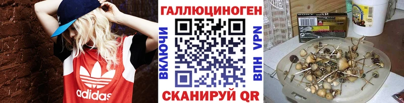 Псилоцибиновые грибы Cubensis  Купить закладки  Сокол 